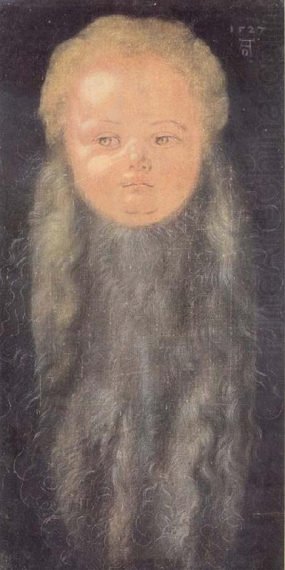 Albrecht Durer Portrait of a boy with a long beard oil painting picture